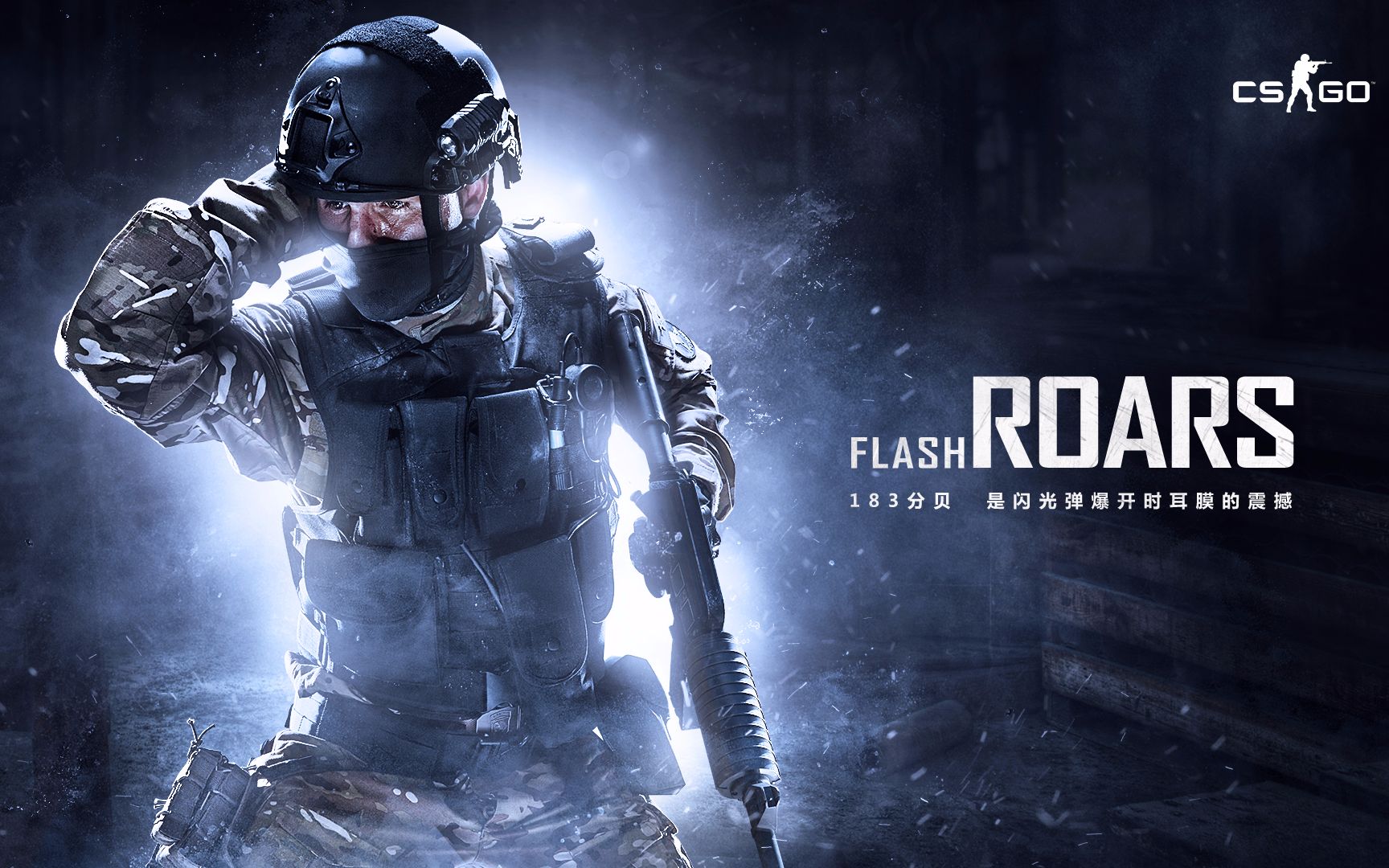 应的完整体 应的完整体